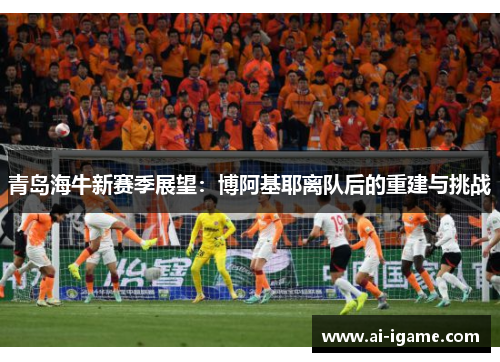 青岛海牛新赛季展望:博阿基耶离队后的重建与挑战 青岛海牛新赛季展望:博阿基耶离队后的重建与挑战